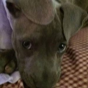 Meet your Posher, Kat